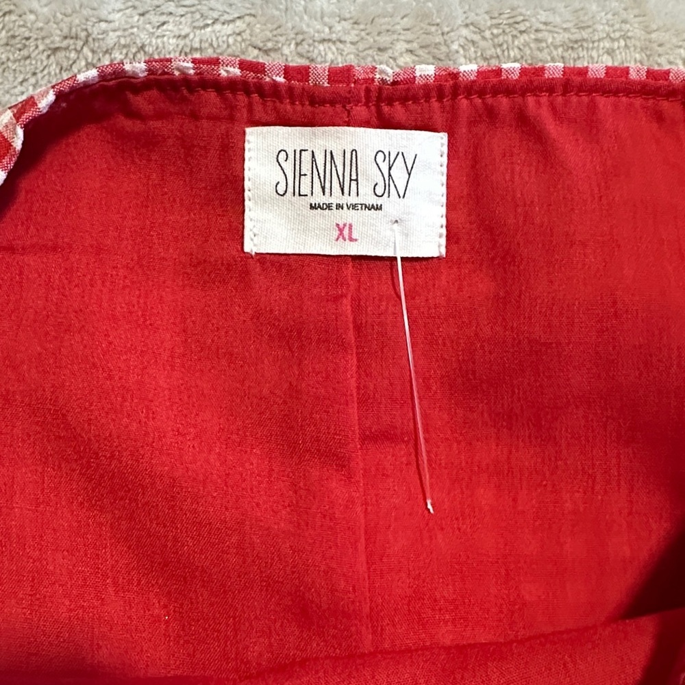Sienna Sky Red Gingham A-Line Mini Skirt - Picture 5 of 8
